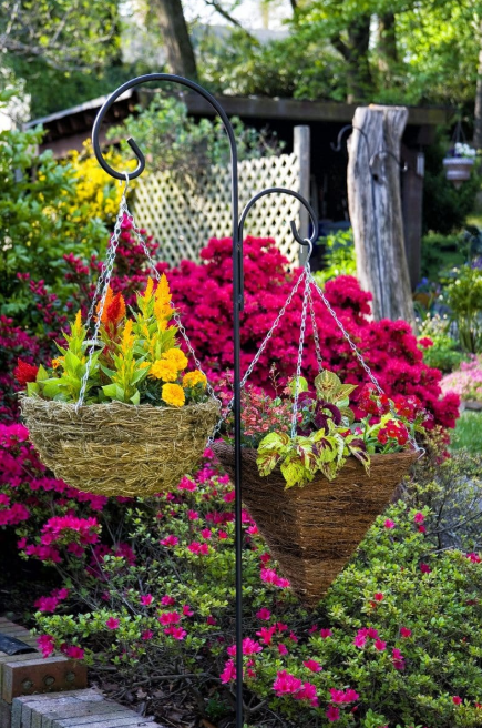 √ 37 Great Hanging Flower Basket Ideas That You Can Use Today - Trumtin